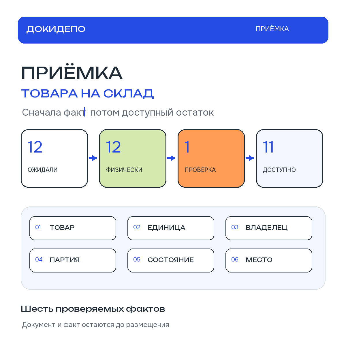 Ожидаемое, физически принятое, проверяемое и доступное количество товара показаны раздельно.